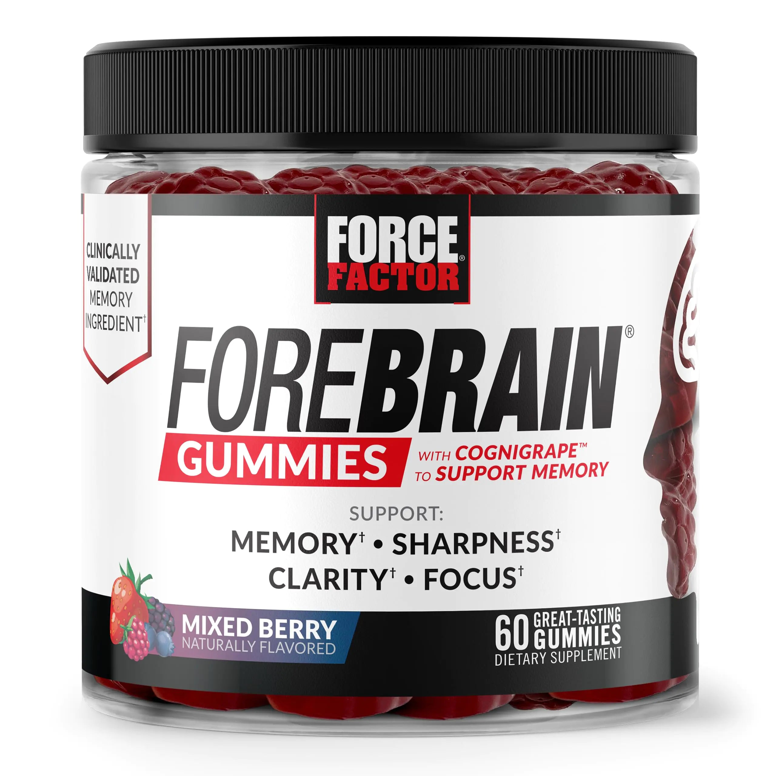 Forebrain Gummies – Memory, Focus &amp; Cognitive Support with Cognigrape, Huperzine A &amp; Caffeine